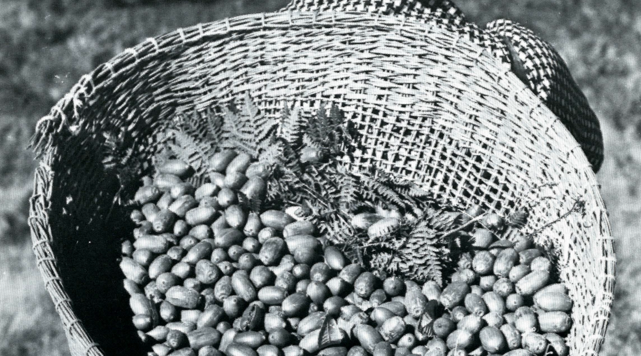 Basket filled with food