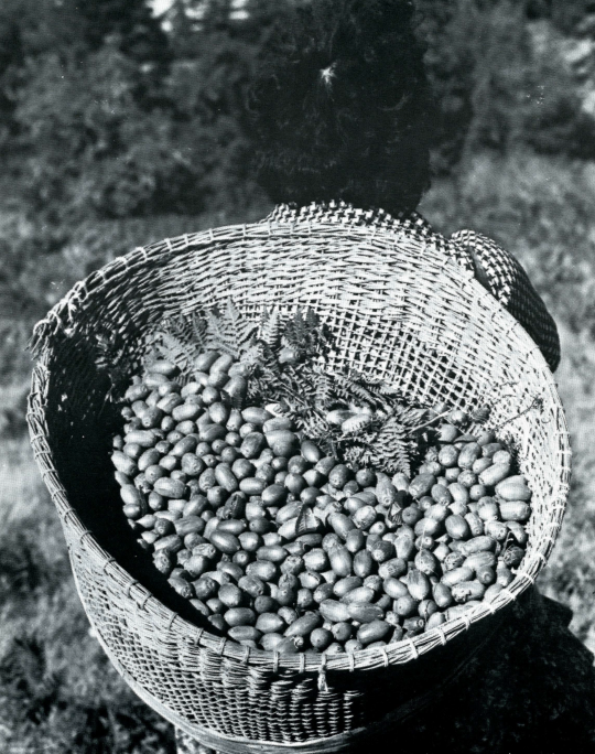 Basket filled with food